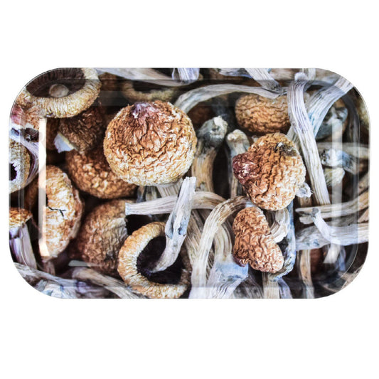 Pulsar "Shroom Collage" Metal Rolling Tray (11" x 7")